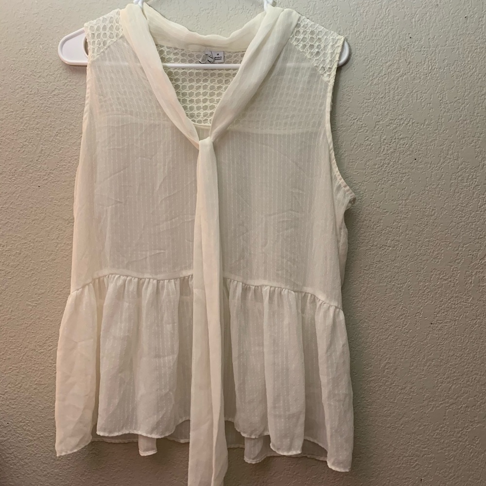 Sheer Blouse